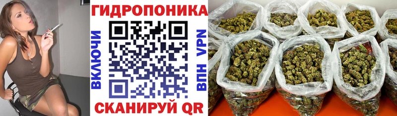 МАРИХУАНА OG Kush  блэк спрут   Ялта  даркнет сайт 